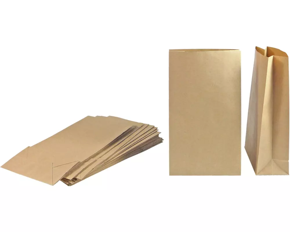 Braun + Company Geschenktüten aus Kraftpapier, 50 Stück, Braun